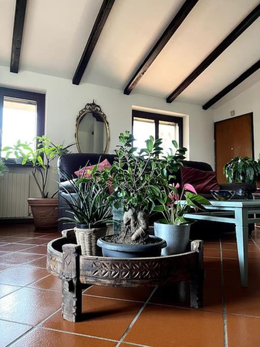 Apartment In Villa La Carruba Rivergaro Exterior foto
